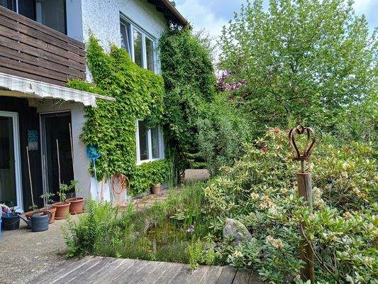 Blick in den Garten