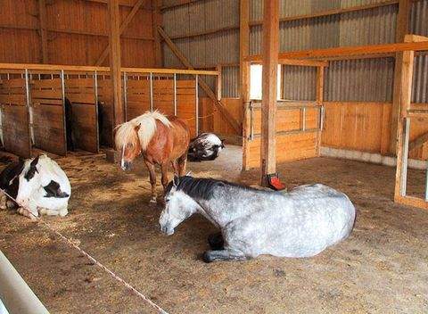 Messkirch Bauernhöfe, Landwirtschaft, Messkirch Forstwirtschaft