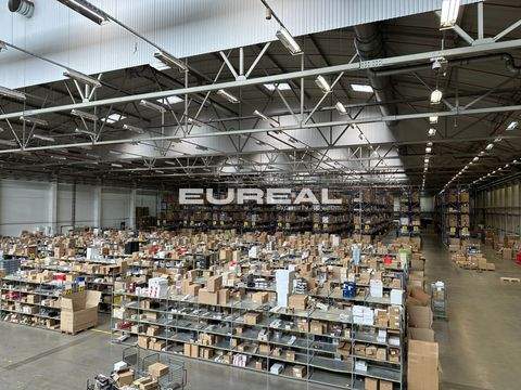 Bochum Halle, Bochum Hallenfläche