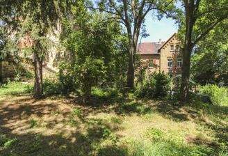 Garten mit Blick aufs Haus