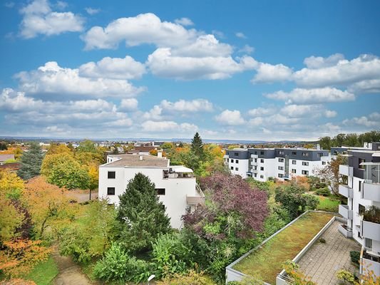 Aussicht ins Grüne 