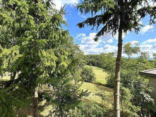 sehr schöner grüner Blick in die Eifellandschaft 