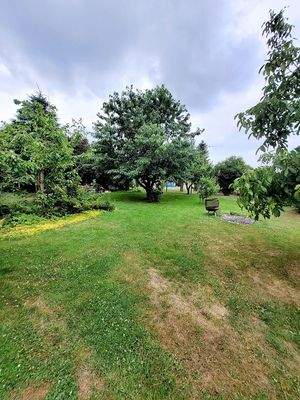 viel Platz zum Toben