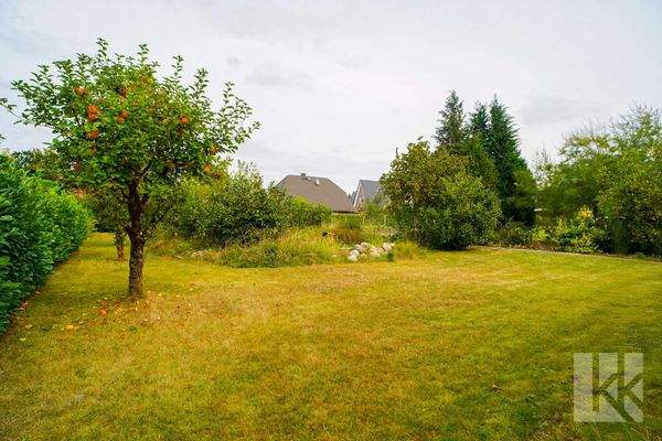 ...altem Baumbestand...