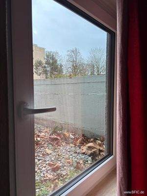 WhatsApp Image 2026-01-11 at 11.56.20 (1)