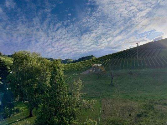 ... und sich vom Ausblick verzaubern lassen!