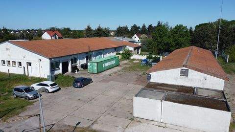 Möser Halle, Möser Hallenfläche