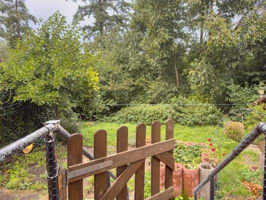 Ausblick vom Wohnzimmer in den Garten
