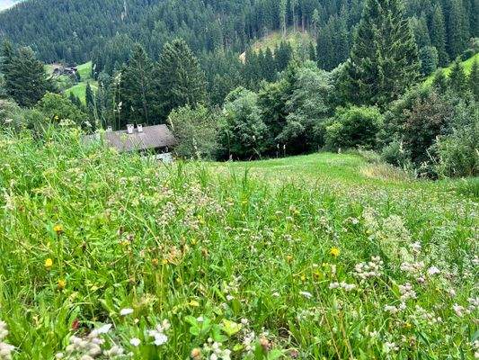 Ulten – Tourismus, Bauen und Gastronomie vereinen sich hier mit einzigartigen Chancen für neue Ideen und ein attraktives Baugrundstück – Ultimo, turismo, costruzioni e gastronomia si incontrano qui con opportunità uniche per nuove idee e un terreno edific