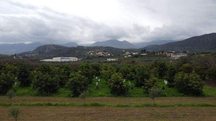 Kreta, Stilos: Charmantes ländliches Grundstück mit Bergblick zu verkaufen