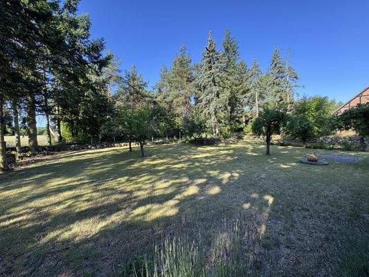 Blick über den Garten zum Haus