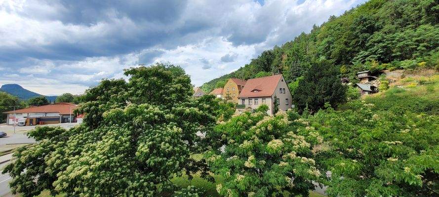 Lilienstein, Penny, Grundstück.jpg