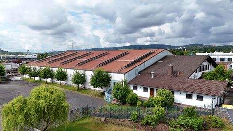 Bebra Halle, Bebra Hallenfläche