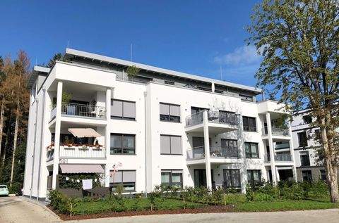 Papenburg Wohnungen, Papenburg Wohnung mieten