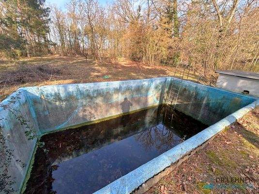 Pool - sanierungsbedürftig
