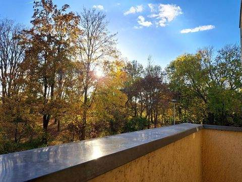 Magdeburg Wohnungen, Magdeburg Wohnung mieten