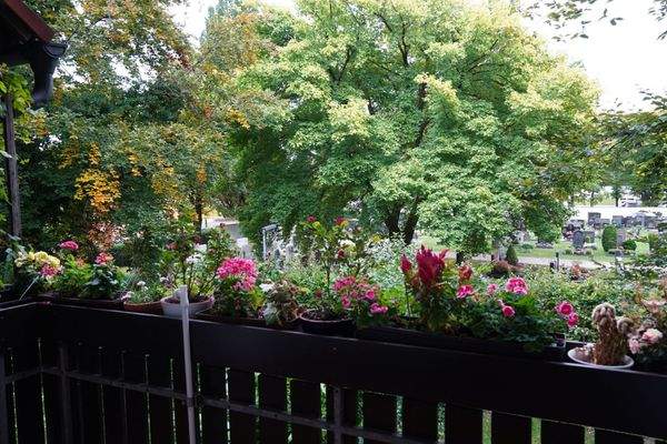 Blick vom West-Balkon.jpg