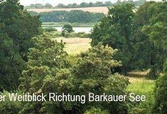 der Weitblick