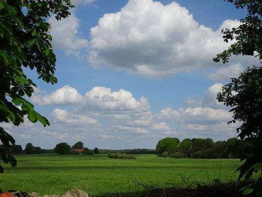 Ausblick v. Grundst.