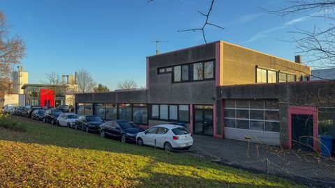 Elmshorn Halle, Elmshorn Hallenfläche