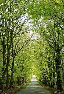 Wohnen an der Dresdner Heide