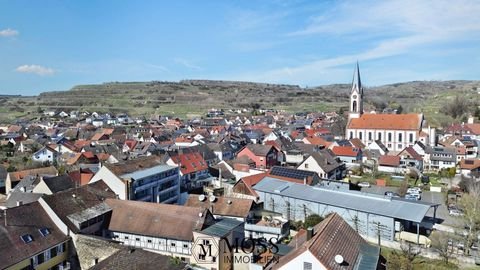 Ihringen Wohnungen, Ihringen Wohnung kaufen