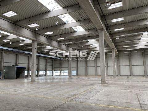 Öhringen Halle, Öhringen Hallenfläche