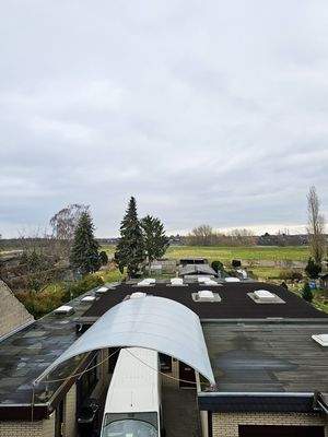 Blick in Richtung Rhein