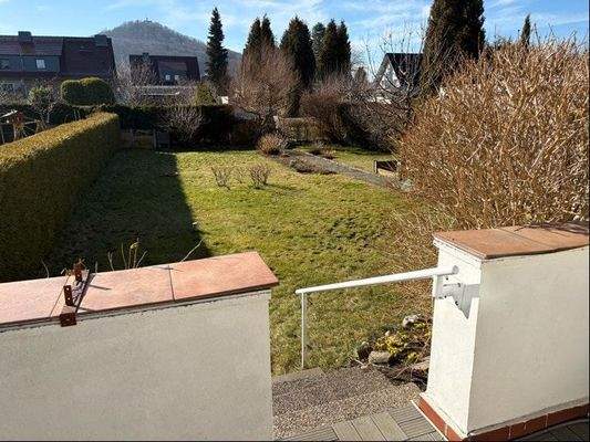 Ausblick ins Grundstück