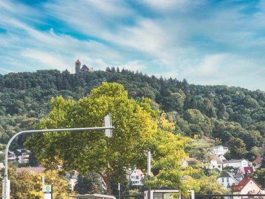 Weinheim Burg