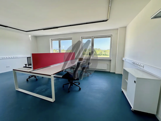 INFOS UNTER: 06171-586000