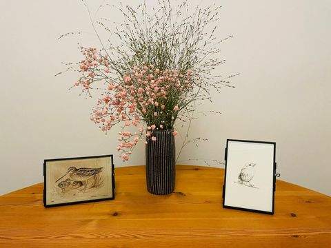 Rostock Wohnungen, Rostock Wohnung kaufen