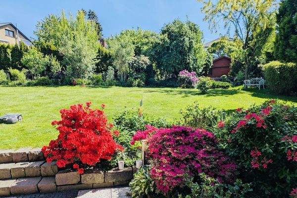 Gartenimpressionen Sommer (1)