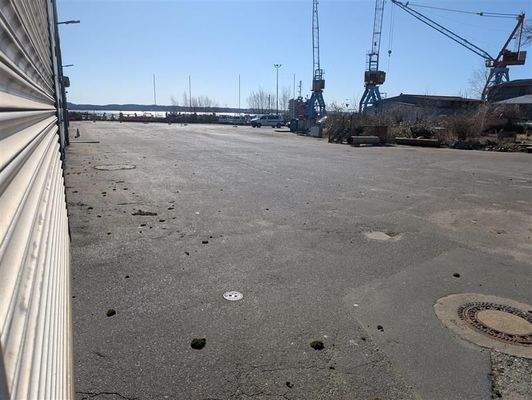 shared image (2).jpeg