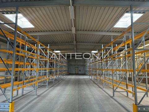 Düsseldorf Halle, Düsseldorf Hallenfläche