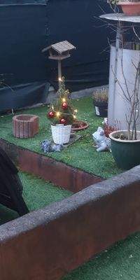 WhatsApp Image 2026-01-29 at 13.10.24 (1).jpeg