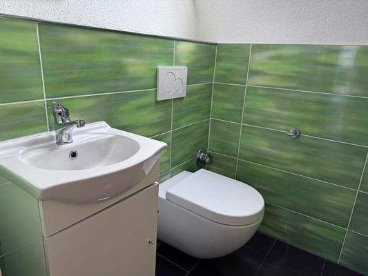 Gäste WC 2.OG links