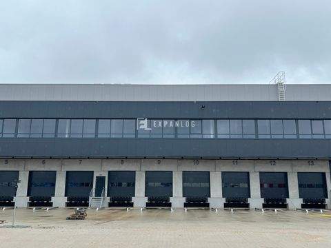 Haan Halle, Haan Hallenfläche