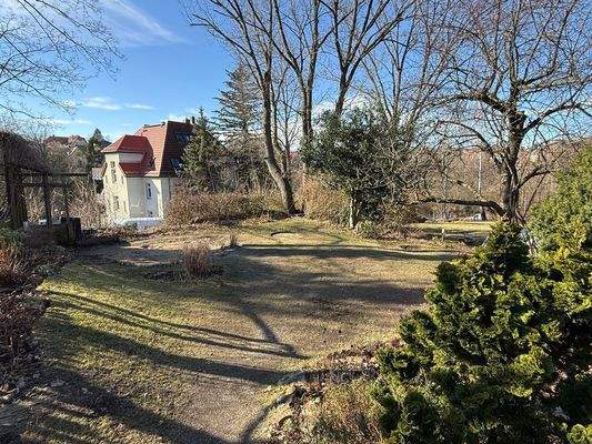 Gartengrundstück (1)