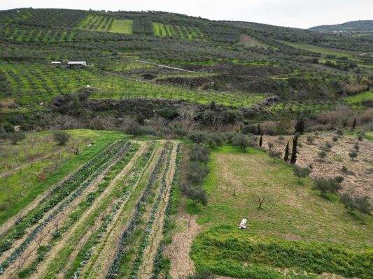 Kreta, Agies Paraskies: Großes Grundstück zu verkaufen