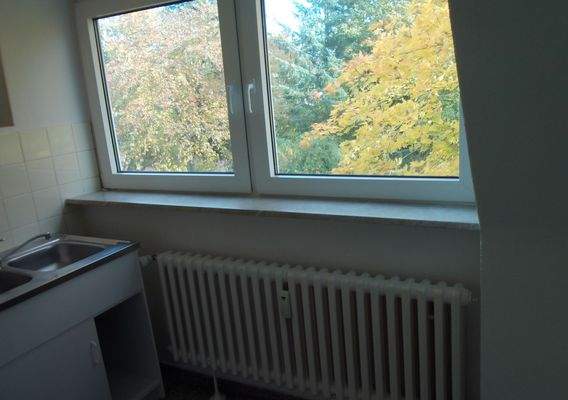 Küche mit Blick ins Grüne