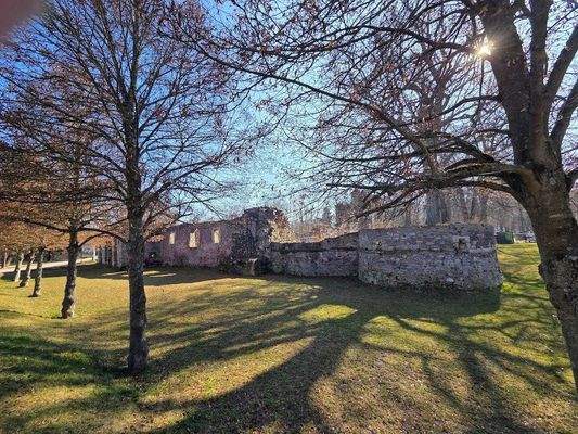 2531133-Lars-Pitan-Immobilien-Group-GmbH