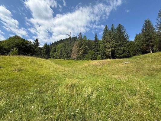 Landwirtschaftlicher Grund