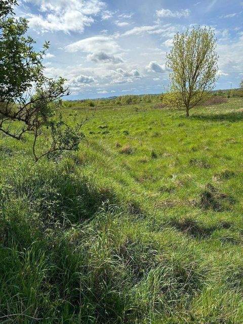 Wismar Grundstücke, Wismar Grundstück kaufen