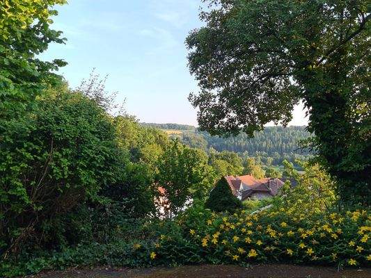 Gartenansicht-Fernblick