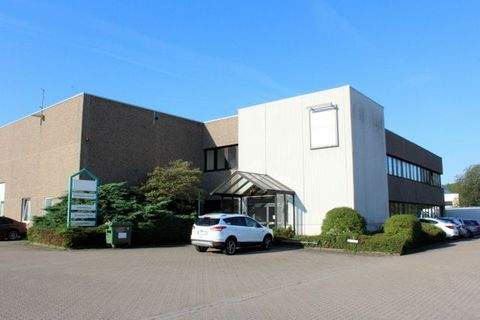 Langenhagen Halle, Langenhagen Hallenfläche