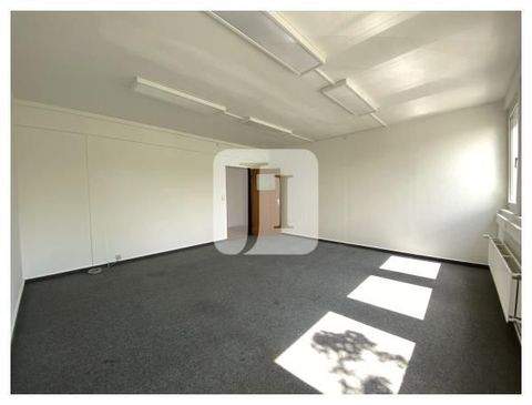 Hamburg Halle, Hamburg Hallenfläche