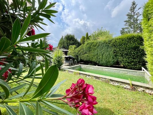 grüne Oase mit Pool