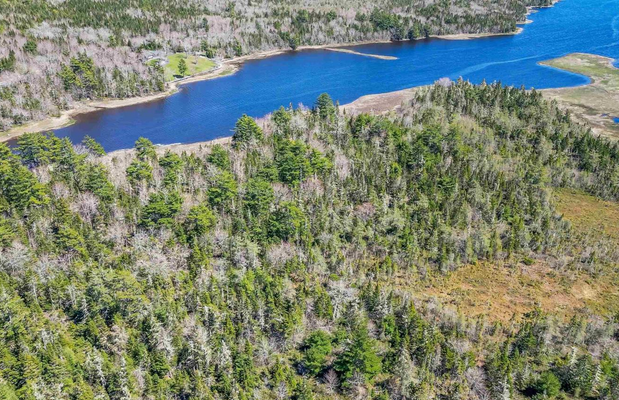 Meeresarm - Ausläufer am Grundstück