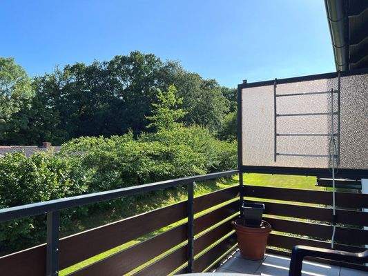 Süd- Balkon